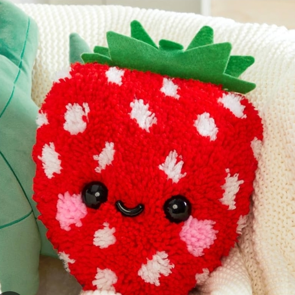 Strawberry Latch Hook Pillow